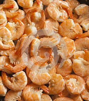 Fried shrimps with garlic