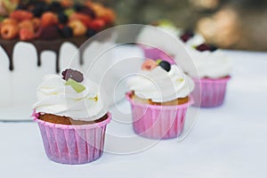 Delicious fruit cake with cupcakes for a happy birthday.