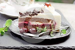 Delicious fruit cake with sour cherry, dark chocolate and whipped cream, slice of Black forest cake close up