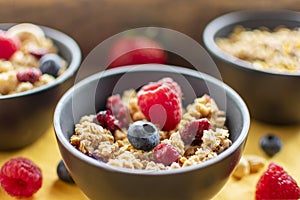 delicious fruit muesli with fresh berries in closeup in sunlight.