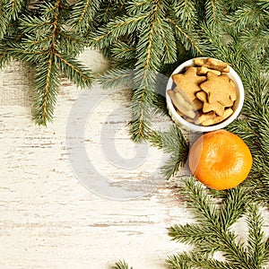 Delicious ginger biscuits. One tasty tangerine. Fir branch. NewYear