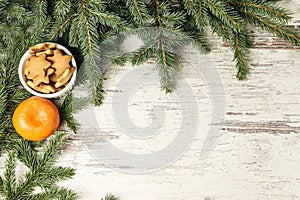 Delicious ginger biscuits. One tasty tangerine. Fir branch. NewYear photo