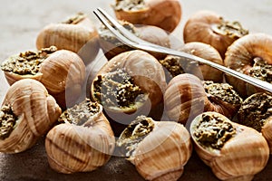 Delicious gourmet escargots with tweezers on stone background.