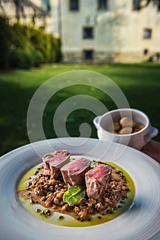 Delicious grilled pork loin with mushrooms sauce served on white plate with grilled potatoes, modern gastronomy, product photograp