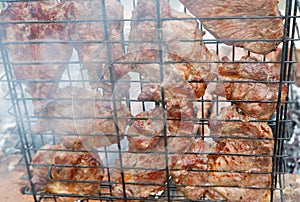 Delicious grilled pork meat in BBQ Barbecue with pork meat. Kebabs on the grill. Close-Up Of Meat On Barbecue Grill With Smoke