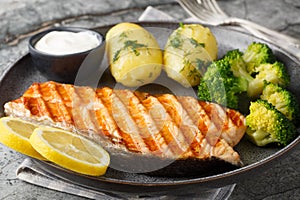 Delicious grilled salmon steak with boiled new potatoes, broccoli, lemon and cream sauce close-up in a plate. Horizontal