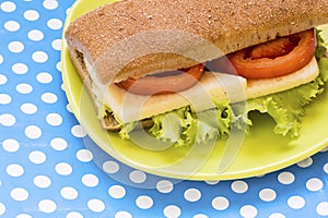 Delicious ham sandwich isolated