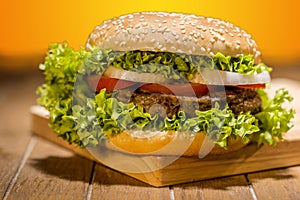 Delicious Hamburger