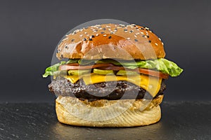 Delicious hamburger on dark background