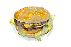 Delicious hamburger on a white background