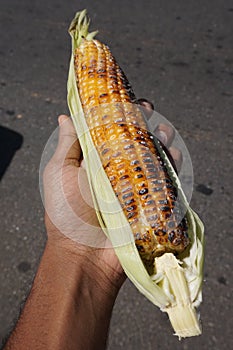 Delicious and healthy burned baby corn, Sri Lanka.