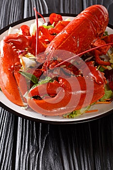 Delicious healthy food: boiled lobster with fresh vegetable salad on a plate close-up. vertical.