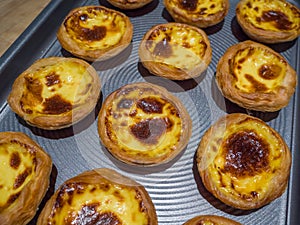 Delicious home baked Portuguese egg tarts.