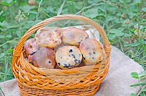 Delicious homemade blueberry muffins with berry fruits