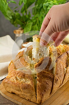 Delicious Homemade Cheese and Garlic Pull-Apart Bread photo
