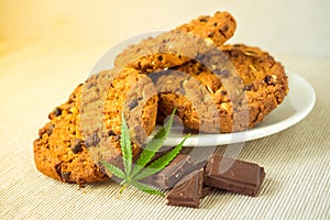 Delicious homemade Chocolate chip Cookies with CBD cannabis and