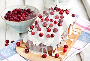 Delicious homemade cranberry loaf cake