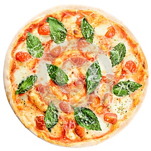 Delicious homemade Italian pizza with cheese, tomatoes and basil