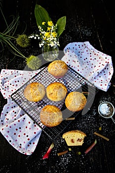 Muffins. Delicious homemade muffins with rhubarb