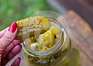 Delicious homemade pickled cucumbers. Woman`s hand holding a pickled cucumber