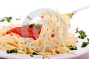 Delicious homemade spaghetti with tomatoe sauce
