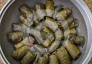 Delicious homemade stuffed grape leaves, the traditional dolma of the mediterranean cuisine in a cooking pot.