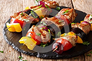 Delicious hot grill shish kebab from pork with vegetables, serve