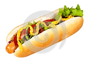 Delicious hotdogs on white background