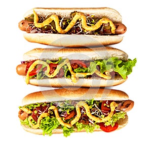 Delicious hotdogs on white background