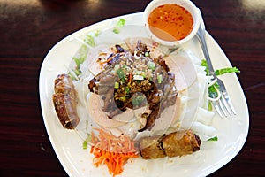 Vietnamese Flat Rice Vermicelli Noodles Plate photo