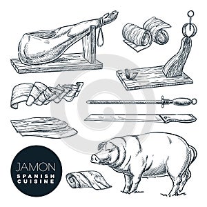 Delicious iberian pork jamon leg and cutting tools. Sketch  illustration of Spanish gourmet cuisine