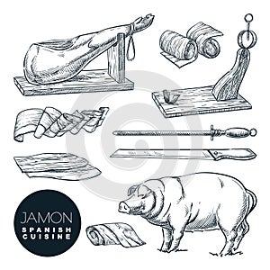 Delicious iberian pork jamon leg and cutting tools. Sketch  illustration of Spanish gourmet cuisine photo