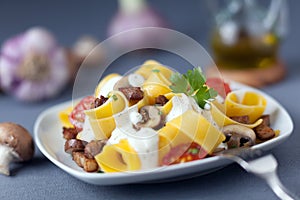 Delicious Italian cuisine of pappardelle noodles photo
