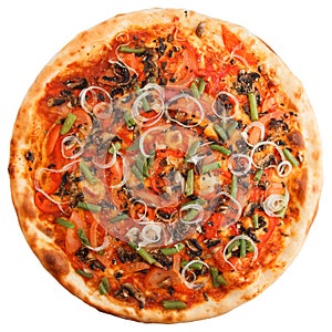 Delicious italian vegetarian pizza with tomatoes, mushrooms, peppers, onion and black olives