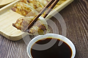 Delicious Japanese style fried dumplings