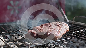 Delicious and juicy piece of marbled beef tenderloin rib eye steak, cooked over an open fire in nature. Meat steak from