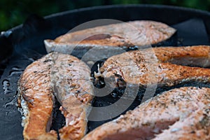 Delicious and juicy pieces of salmon are grilled on a special non-stick Teflon lining. Family barbecue in the backyard of a