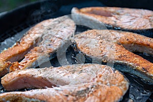 Delicious and juicy pieces of salmon are grilled on a special non-stick Teflon lining. Family barbecue in the backyard of a