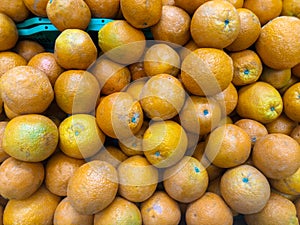 Delicious, juicy ripe oranges on the supermarket counter