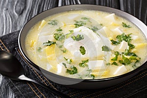 Delicious latino american chicken broth with potatoes, eggs, white cheese and cilantro close-up in a bowl. horizontal photo