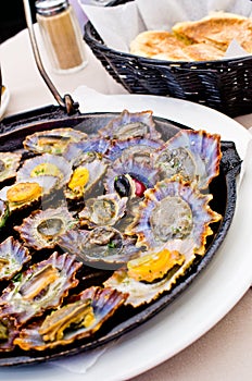 Limpets fried on the pan photo