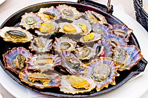 Limpets fried on the pan photo