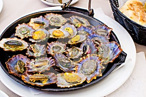 Limpets fried on the pan photo