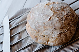 A delicious loaf of homemade no knead bread