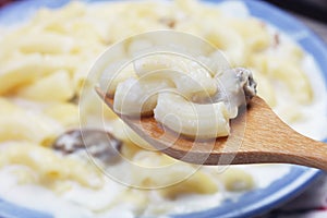 Delicious macaroni with mushroom, clam, cheese-flavor sauce