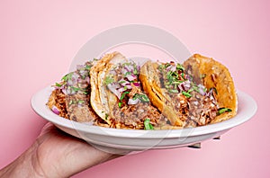 Delicious Mexican birria tacos with coriander and onion on top in a white plate held by one hand photo