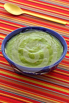 Delicious mexican guacamole dip