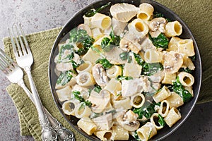 Delicious mezze maniche pasta with chicken, champignon mushrooms, garlic and spinach in creamy cheese sauce close-up in a plate.