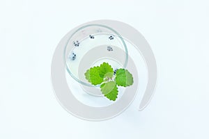 Cooled milk jello treat in a glass with green mint leaves on a white wooden background, copy space, top view photo