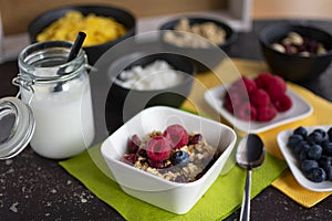 delicious muesli with coconut milk and ingredients for the muesli